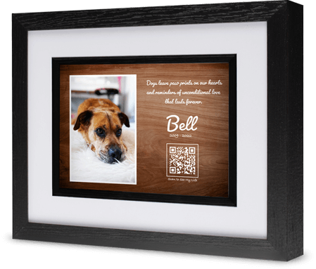 Bell in a frame